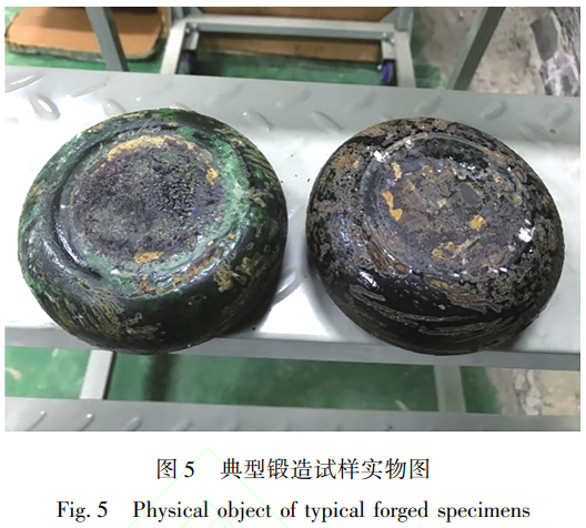 鈦合金粉末冶金β相區熱加工組織行為