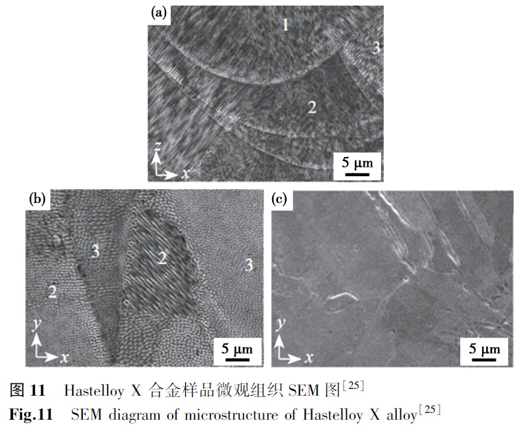 1672138493582941.jpg t11.jpg