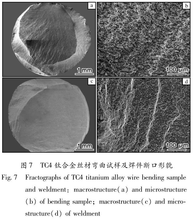 1688870049660604.jpg t7.jpg