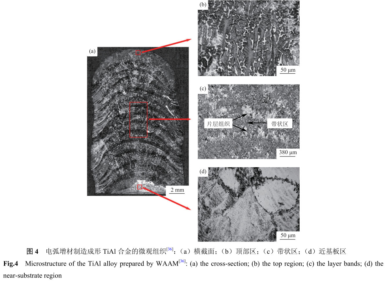 1721463989495249.jpg 未標題-2.jpg