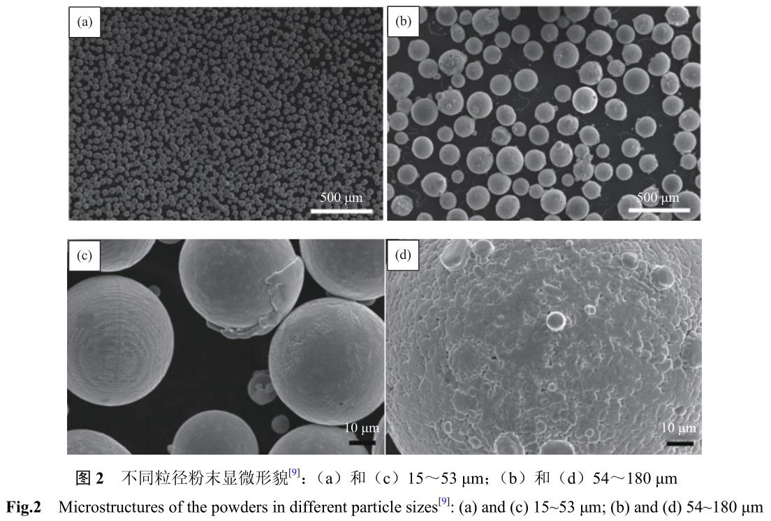 1721484061632352.jpg t2.jpg