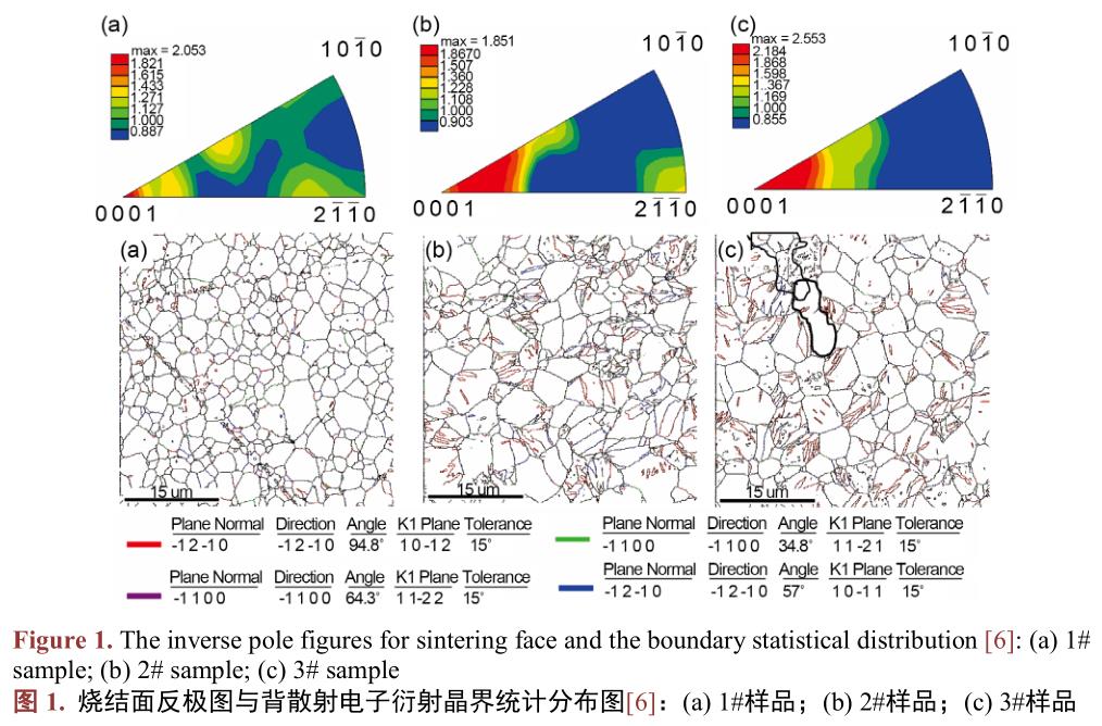 1721524029499149.jpg t1.jpg