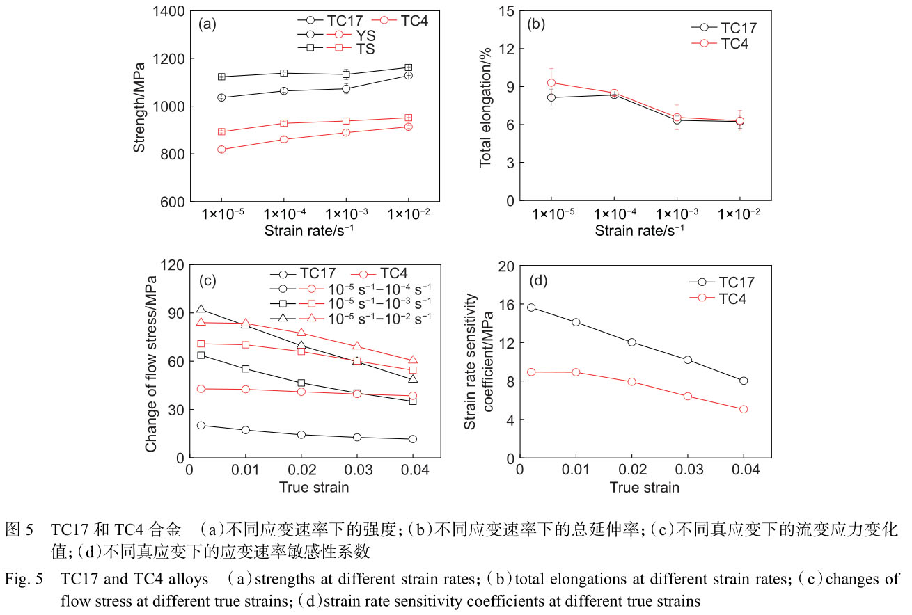 1699878589742372.jpg t5.jpg