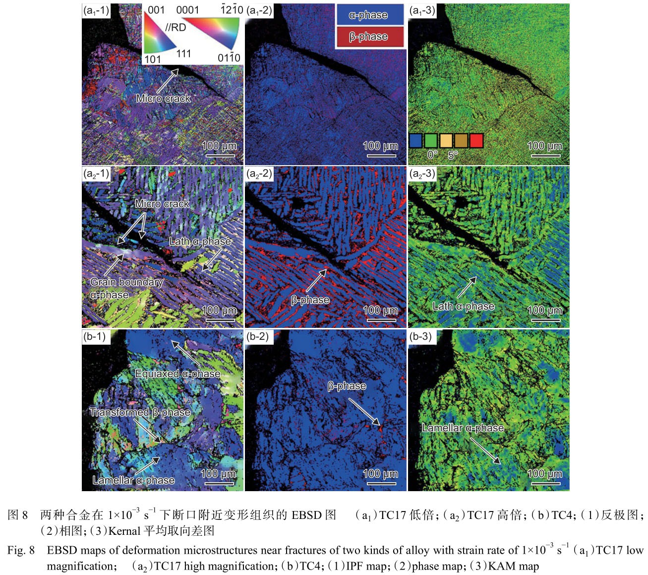 1699878641811689.jpg t8.jpg