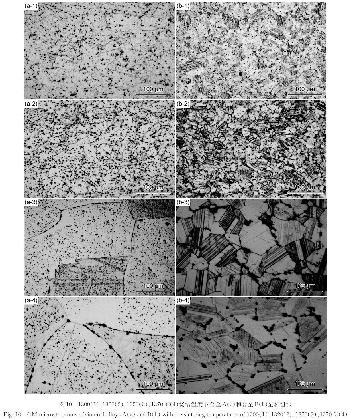 1725438363588452.jpg t10.jpg