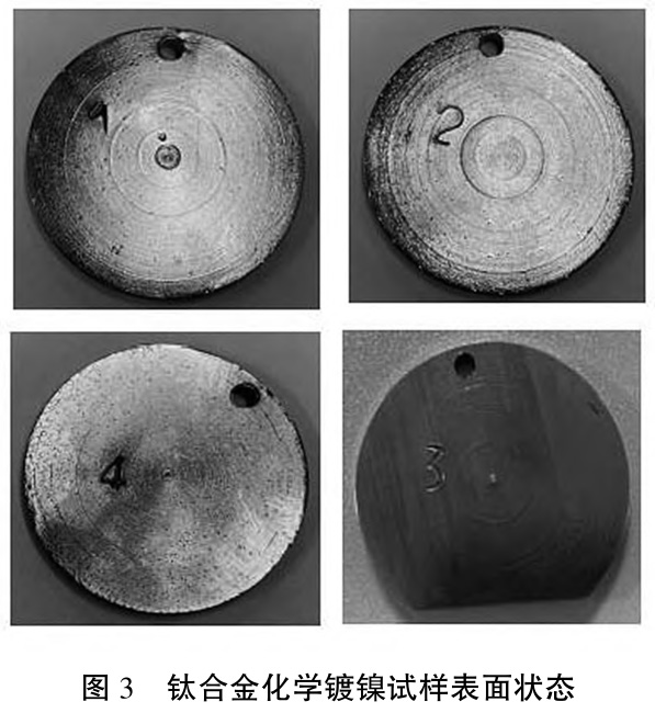 1727922500195226.jpg t3.jpg