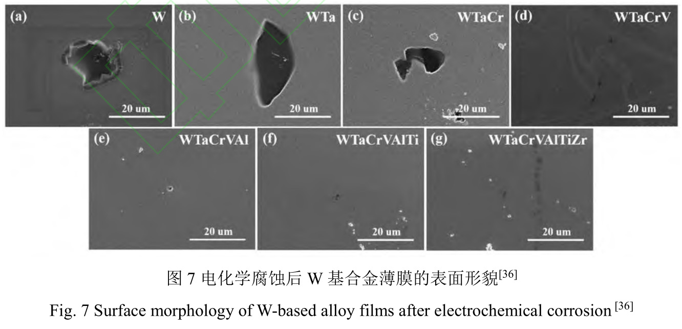 1728214219130807.jpg t7.jpg