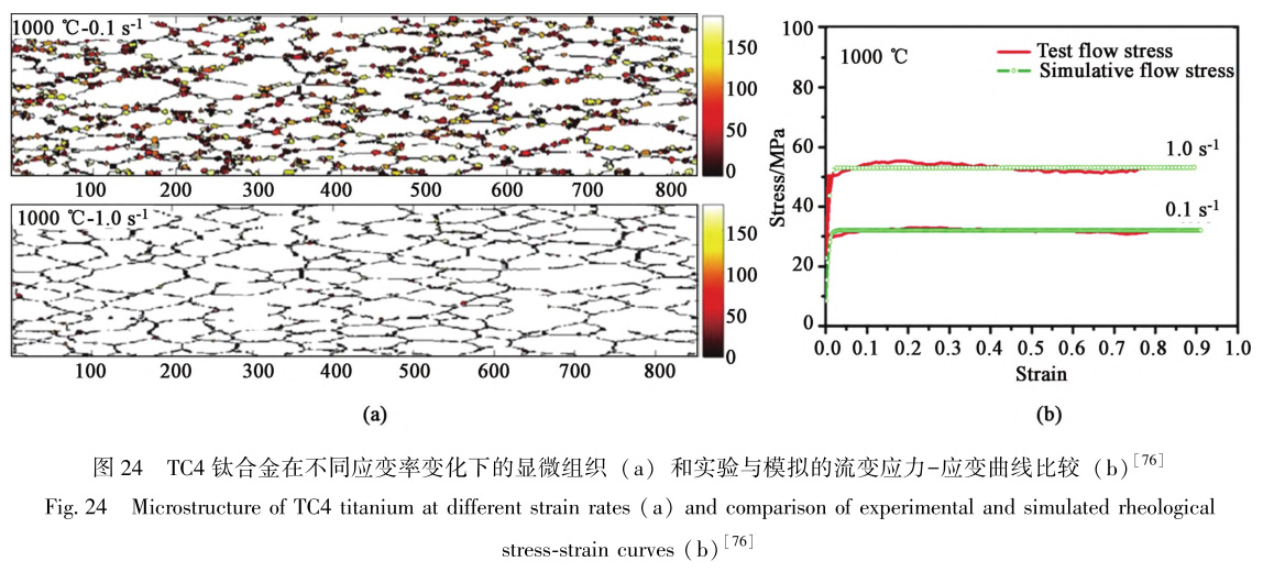 1729324529986300.jpg t24.jpg