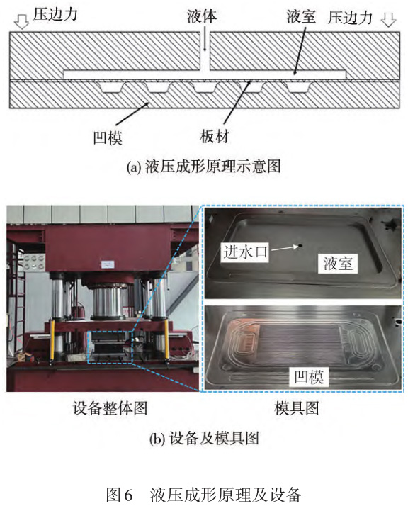 1729825282736065.jpg t6.jpg