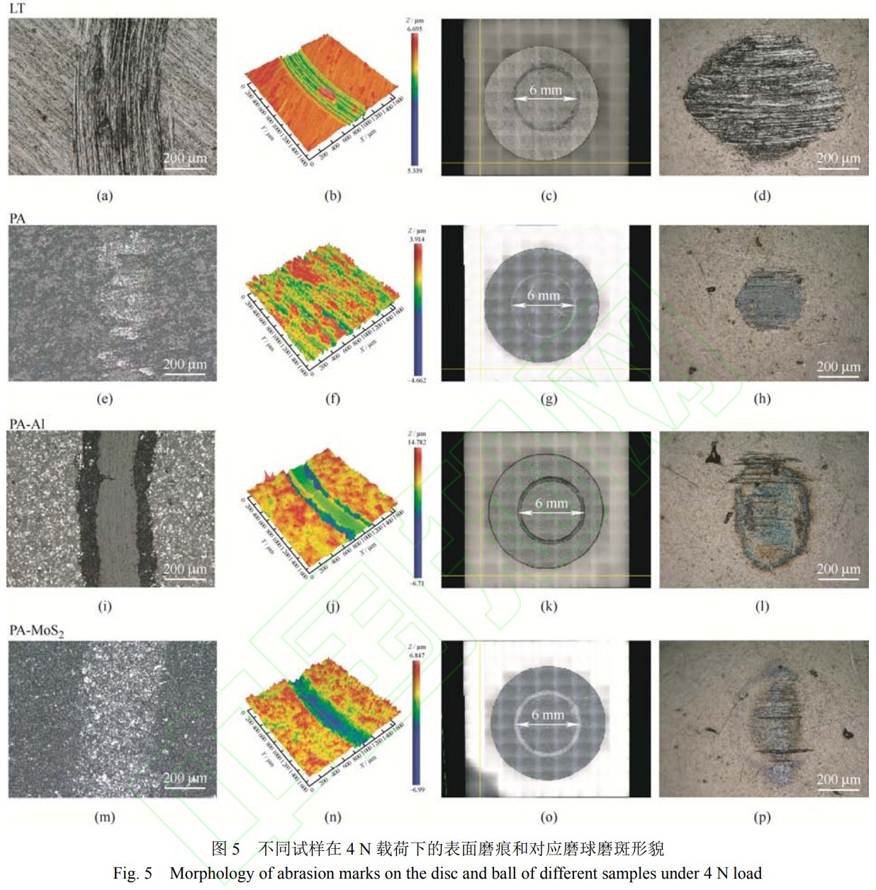 1732346310808634.jpg 5.jpg