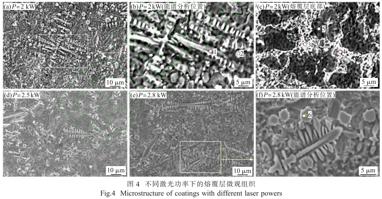 1734920114990827.png 4.png