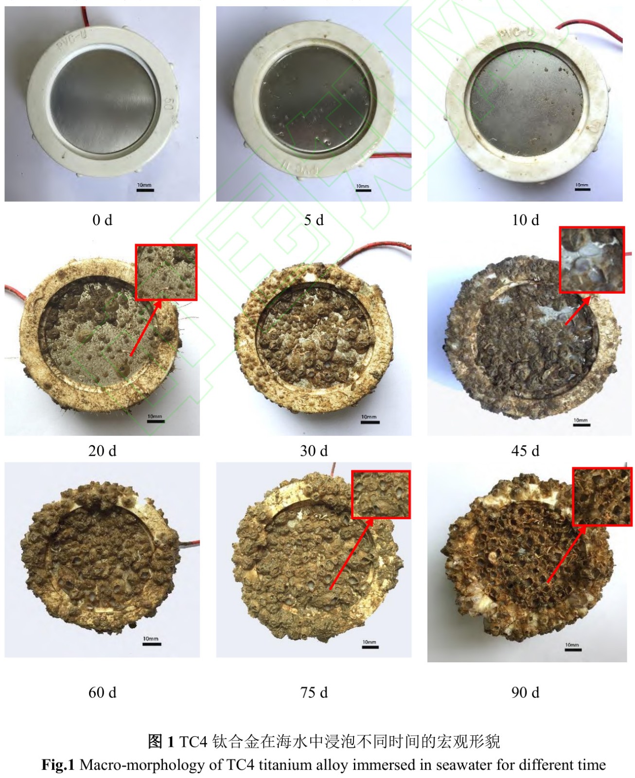 1734944857967774.jpg 1.jpg