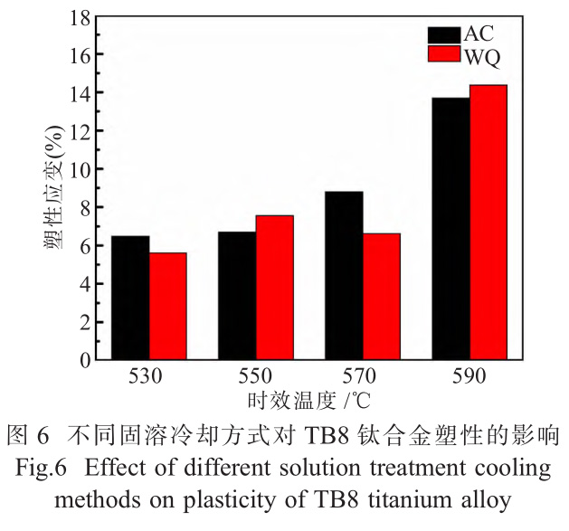 1735116800705307.jpg 6.jpg