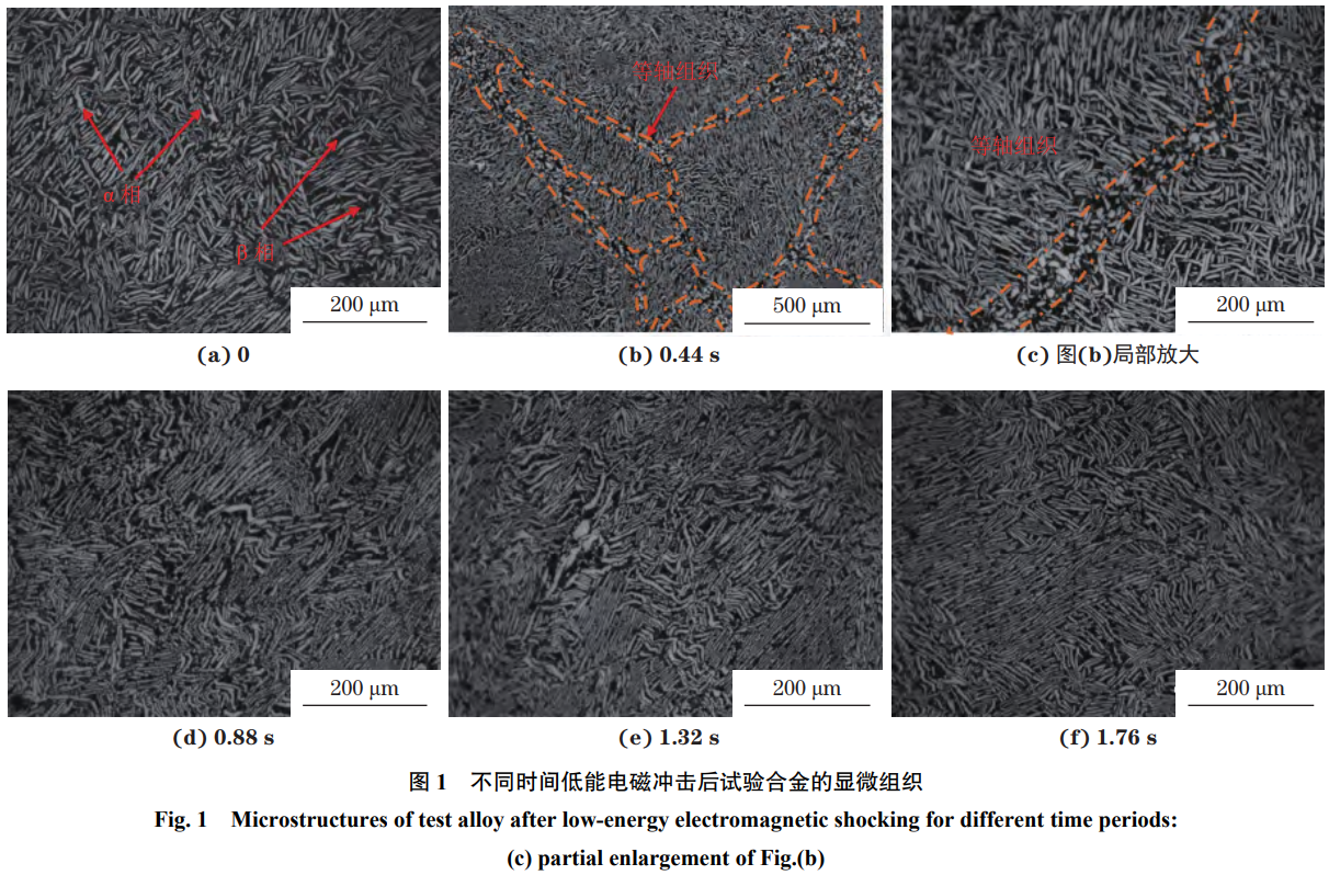 1765507051175580.png 截圖20251212103446.png