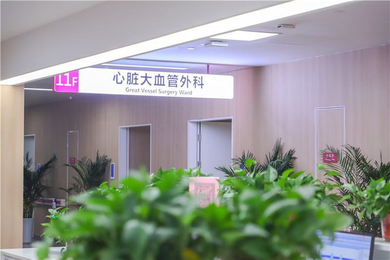 心血管病醫(yī)院 