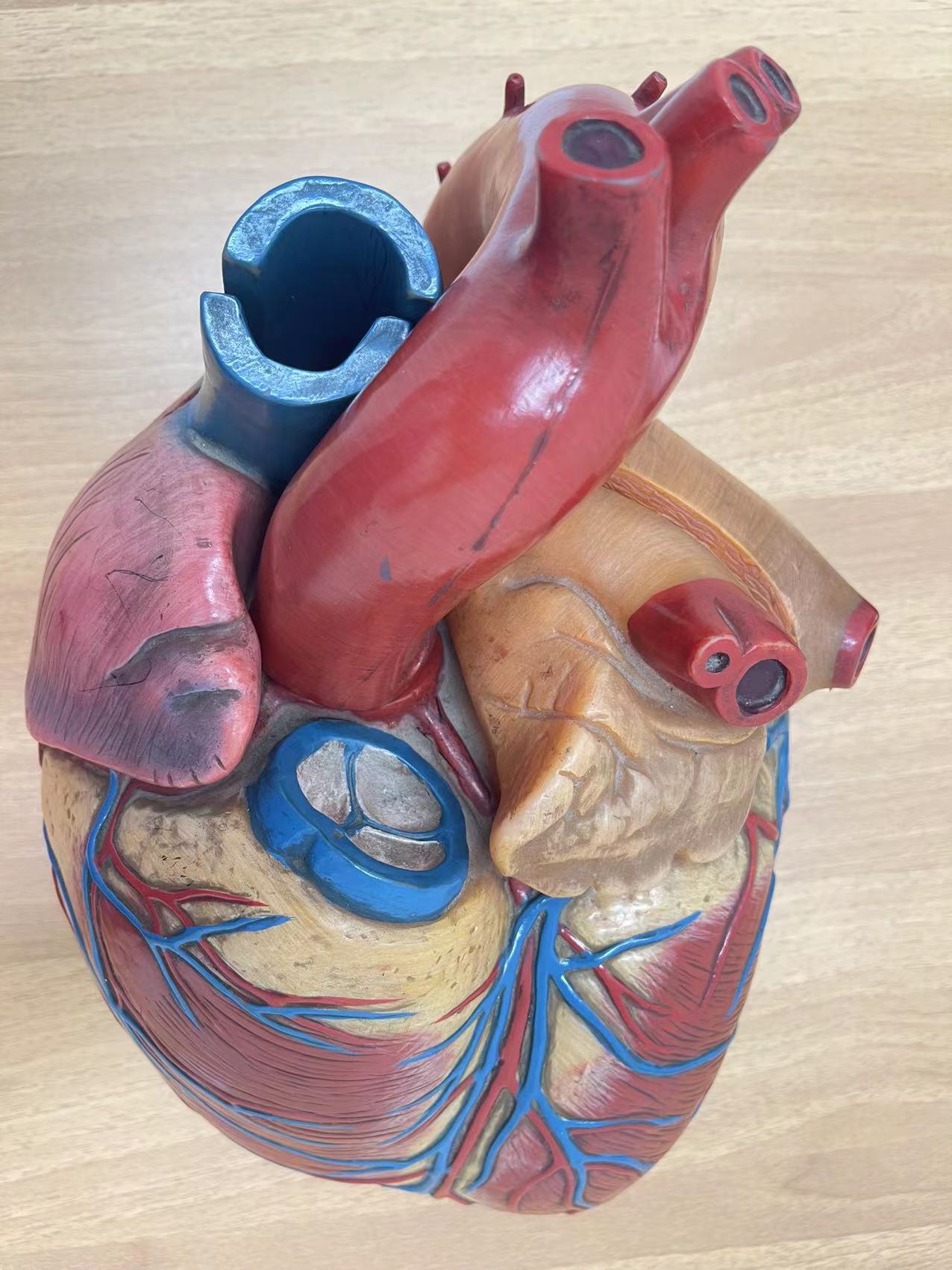 心臟養(yǎng)護指南：讓你的心更強大