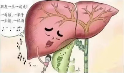 身體里的“肝膽相照”