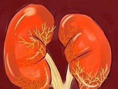 發(fā)病率和發(fā)病史