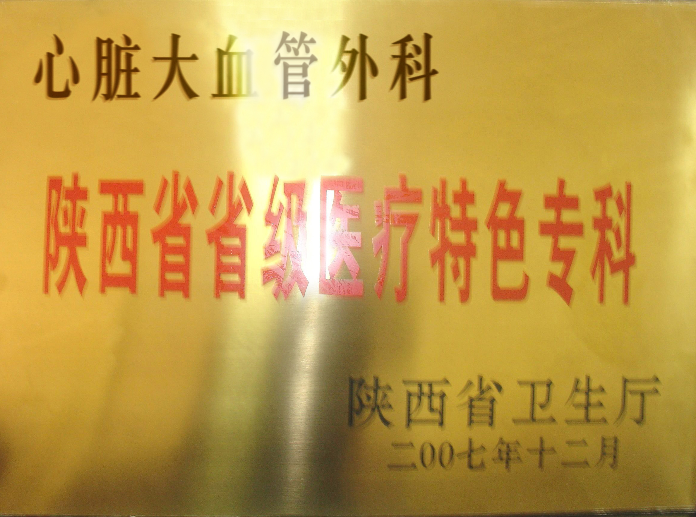 醫(yī)療特色專科