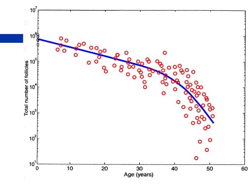 未雨綢繆--高齡女性的生育